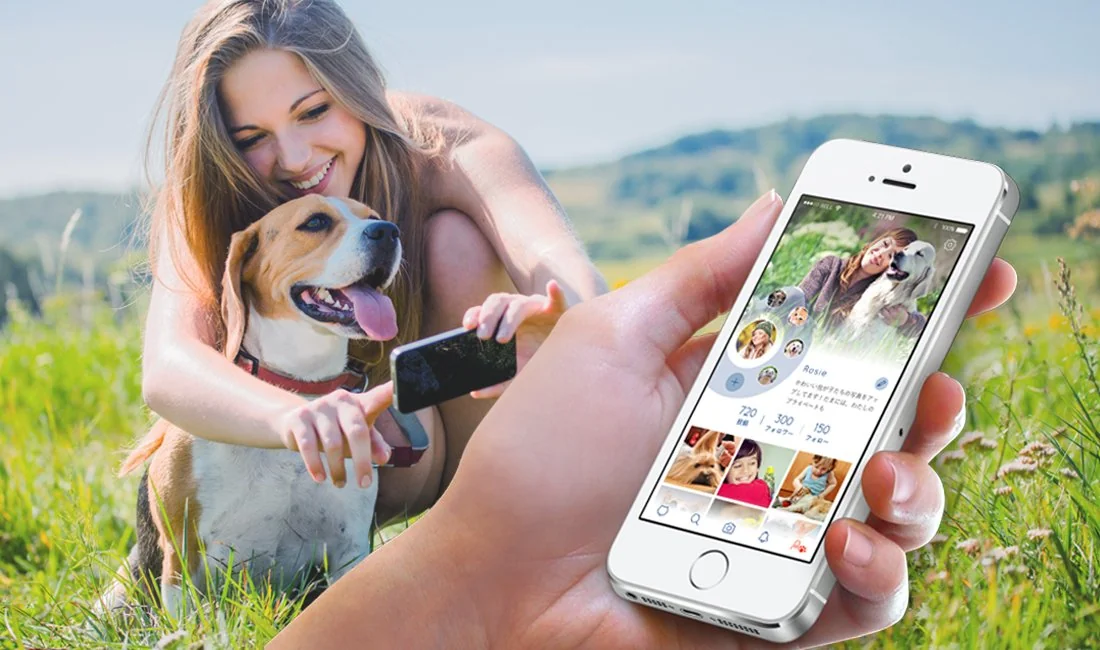Kippo — Structural Pet Network Ecosystem